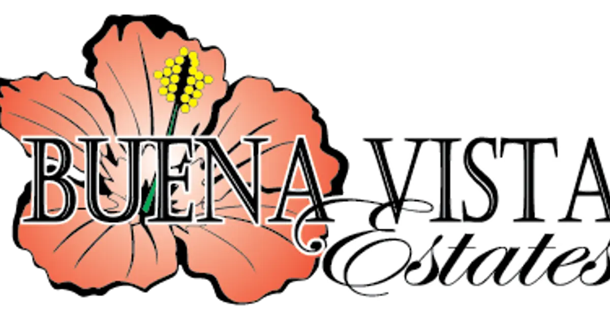 Home Buena Vista Estates